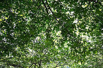 《龙腾世纪：影障守护者》上市预告片分享